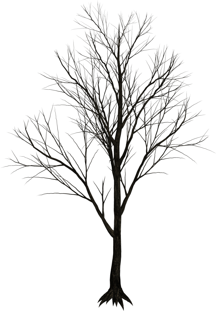 Free Illustrations On Pixabay - Dry Tree Png (1024x1341)