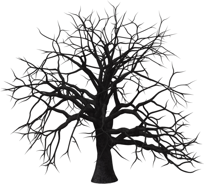 Tree 06 By Free Stock By Wayne - Genealogy (1024x645)