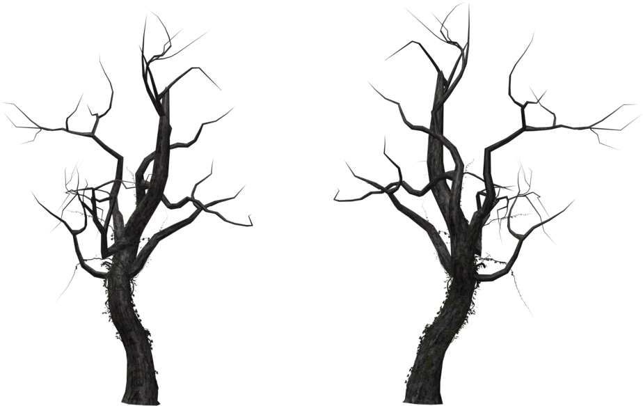 Tree 12 By Free Stock By Wayne - Siyah Kurumuş Ağaç Png (1024x645)