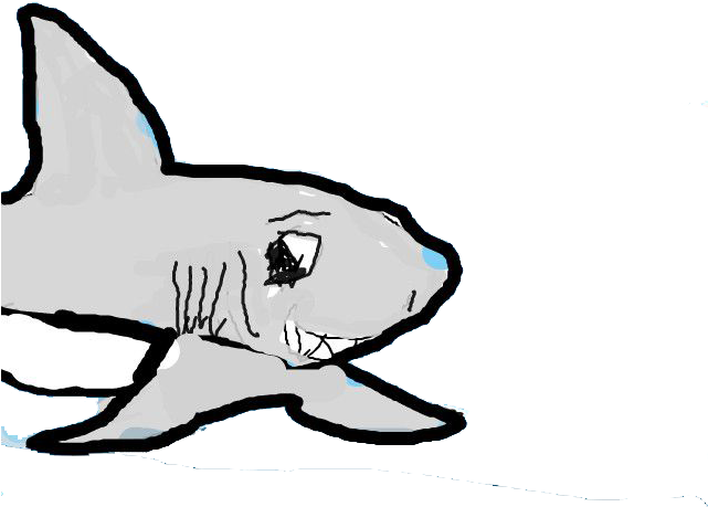 Shark Clip Art - Shark Clip Art (640x480)