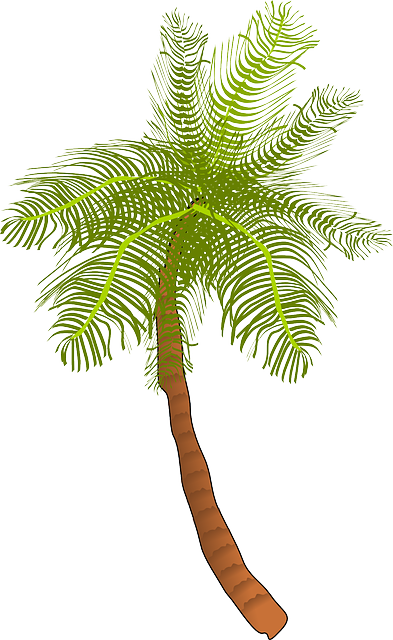 Palm, Tree, Ocean, Summer, Vacation, Beach, Palm Leaf - Coconut Tree Clip Art (393x640)