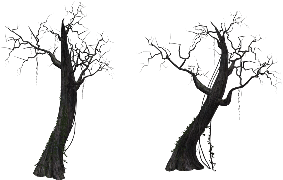 Dead Tree 01 By Free Stock By Wayne - Tree (1024x645)