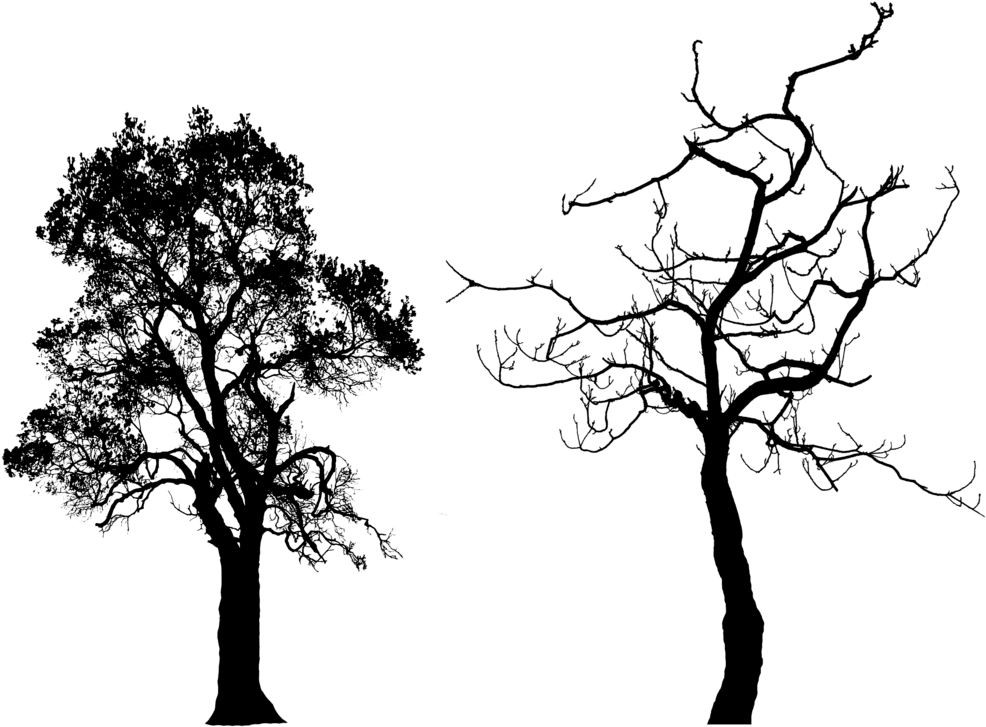 Tree Silhouette Pack - Blue Birds Shower Curtain (1024x750)