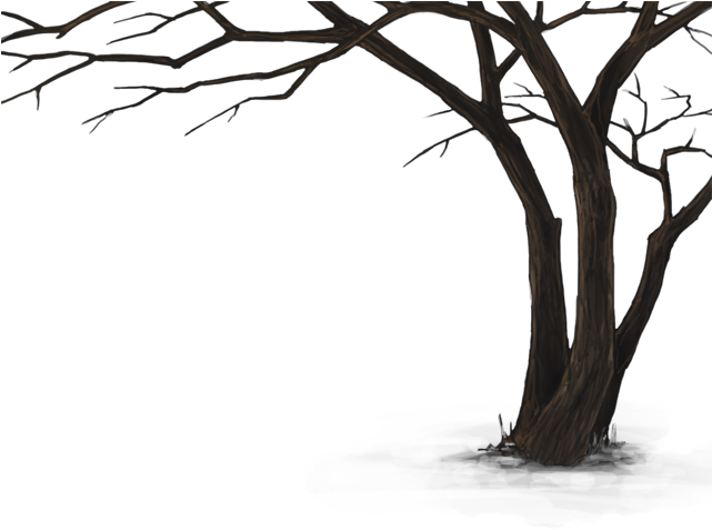 Dead Tree Hd Png (640x500)