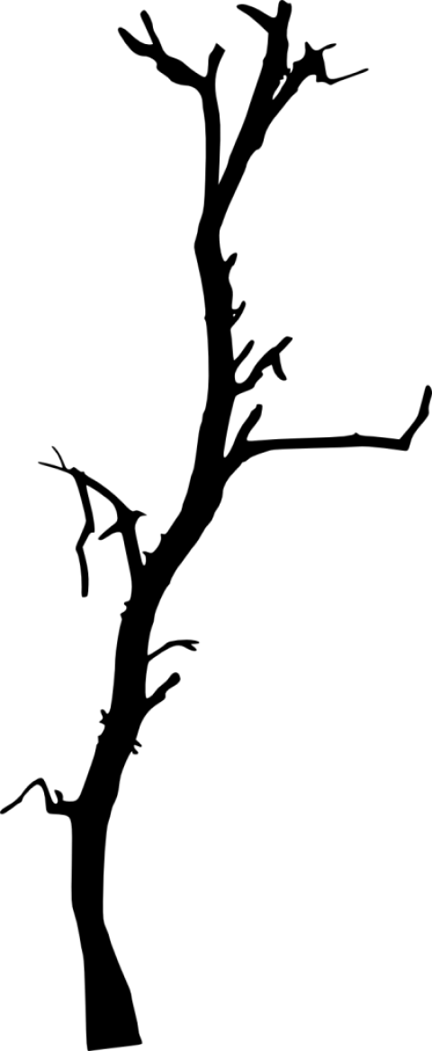 616 × 1500 Px - Dead Tree Silhouette (480x1168)