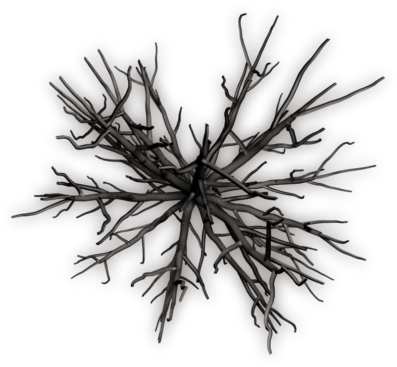 03/23/2007 At - Dead Tree Top View (786x727)