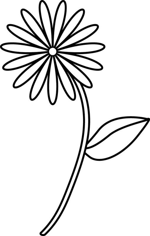 Danielle Mill - Easy Flower Line Drawing (510x800)