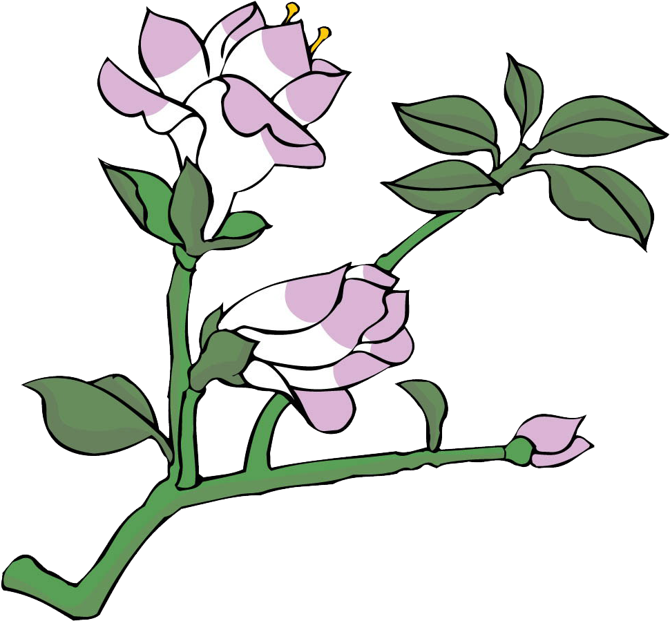 Floral Design Painting Drawing Flower - Floral Design Painting Drawing Flower (1024x1024)