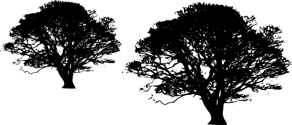 Dead Tree Clipart Transparent Background - Black Tree Transparent Background (600x258)