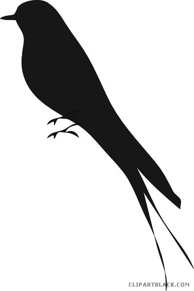 Love Birds Animal Free Black White Clipart Images Clipartblack - Bird Silhouette (396x595)