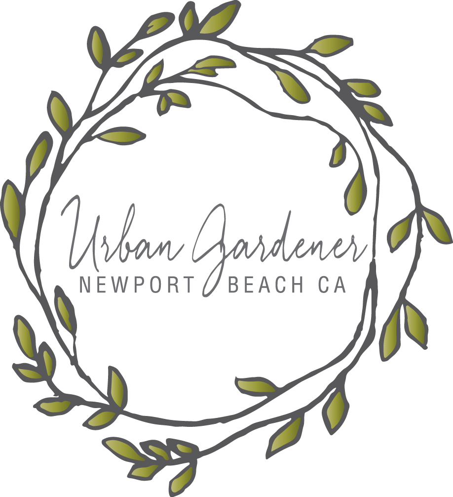 Newport Beach, Ca Florist - Urban Gardener (918x1006)