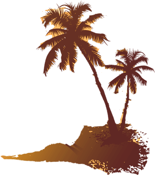 Image Is Not Available - Rum Palm Tree Png (565x625)