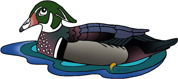 South Carolina State Duck - Waterfowl Clip Art (653x326)