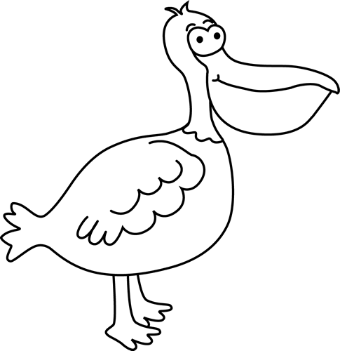 Black And White Pelican - Black And White Pelican (485x500)