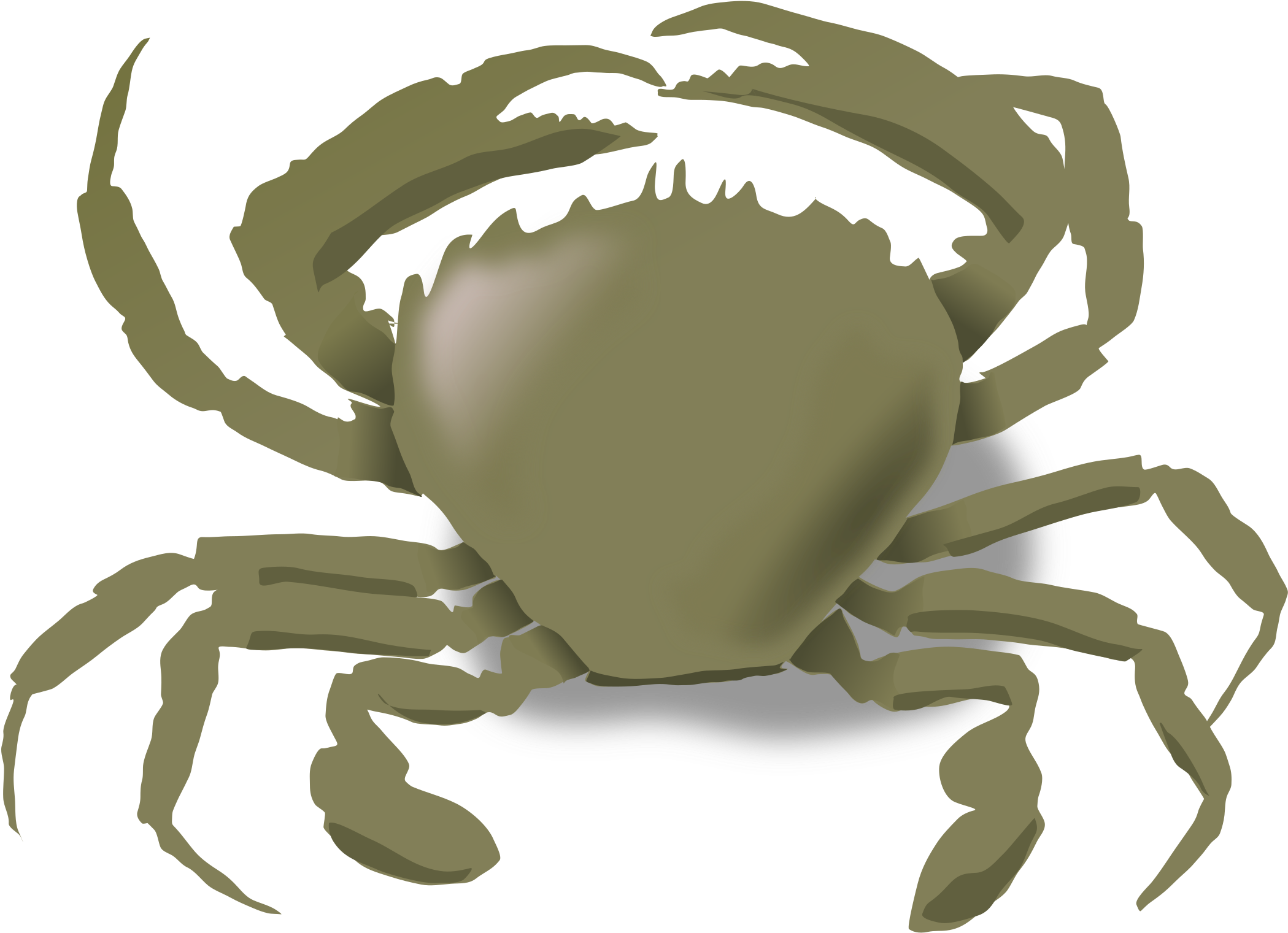 Crabs, Summer, Beach, Animals, Crab, Sea Life, Food, - Animals Live In Water And Land (2400x1800)