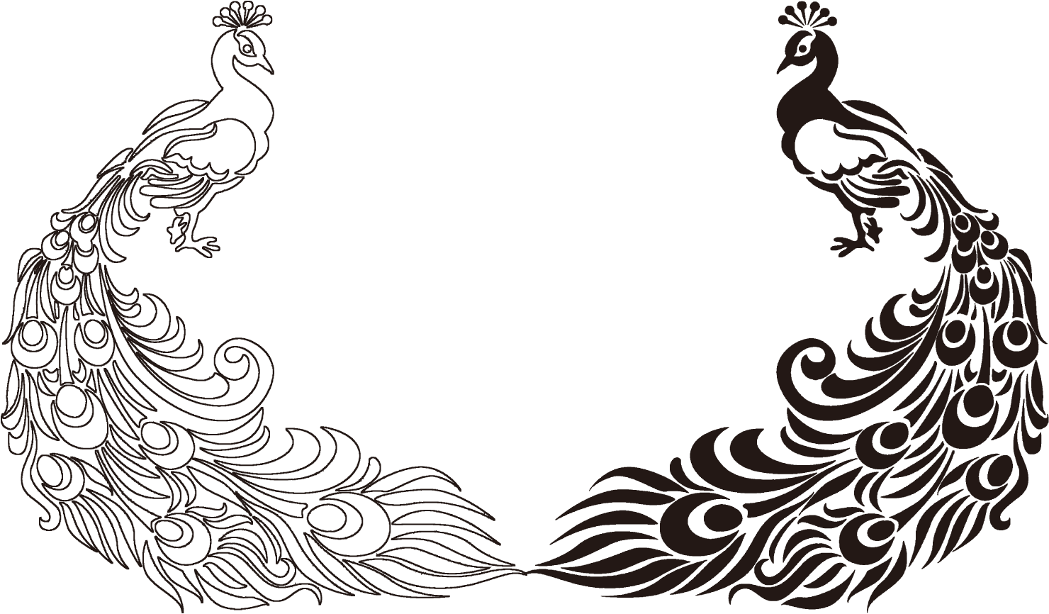 Peafowl Feather Bird Drawing Clip Art - Peacock Clipart (1480x866)