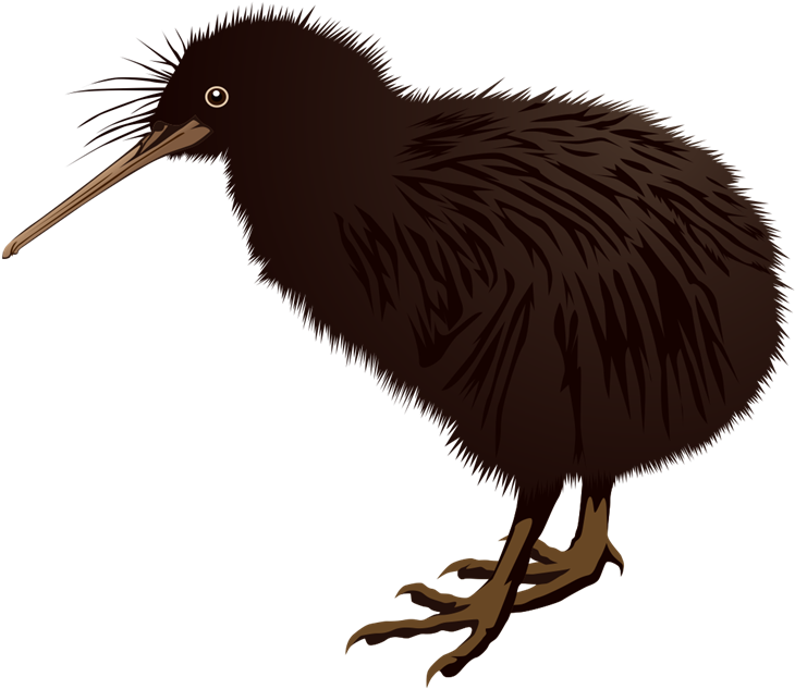 Kiwi key