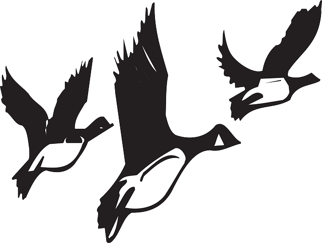 Migrating Birds Clipart Clip Art Library - Birds Migrating Black And White (640x483)