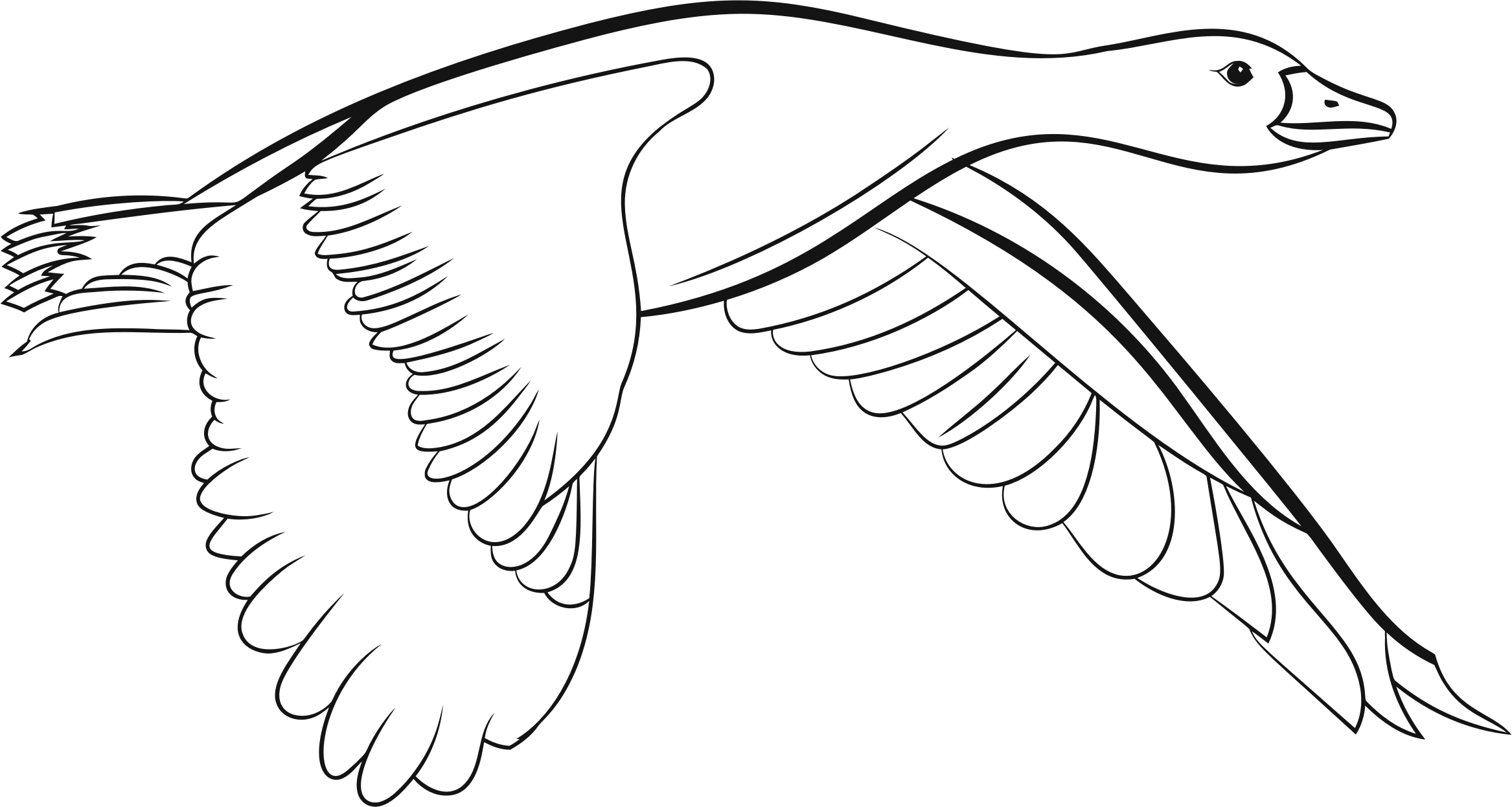 Duck Line Art - Flying Duck Black And White Clipart (2334x1246)