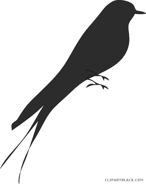 Love Birds Animal Free Black White Clipart Images Clipartblack - Bird (474x597)