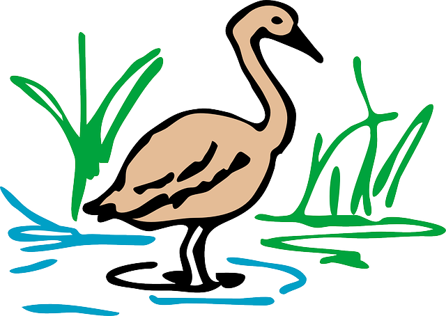 Brown, Drawing, Light, Duck, Grass, Color - Duck Drawing In Color (640x454)