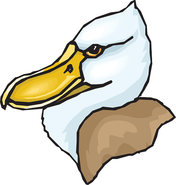 Big, Bird, Duck, Feathers, Beaked, Beak - Голова Утки Png (609x640)