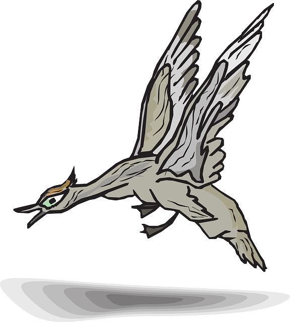 Bird, Duck, Wings, Animal, Landing, Feathers - Bird, Duck, Wings, Animal, Landing, Feathers (576x640)