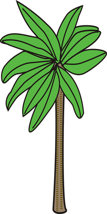 Tropical Flower Clipart 22, Buy Clip Art - Palm Trees (360x720)