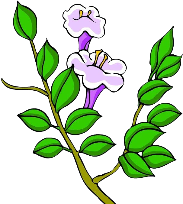 Floral Design Purple Clip Art - Floral Design Purple Clip Art (720x683)