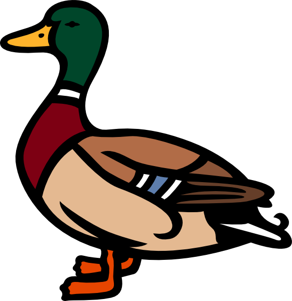 Canard Clip Art (582x600)