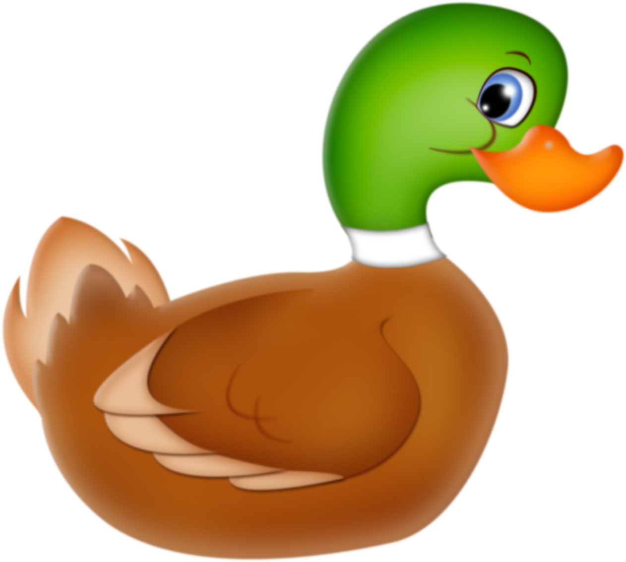 Mallard Duck * - Kačka Clipart (1572x1518)