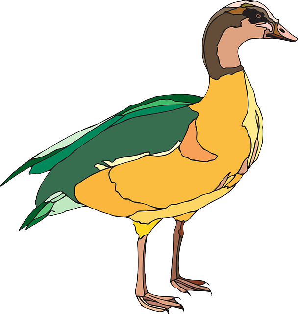 Yellow, Duck, Style, Wings, Art, And - Yellow And Green Duck (608x640)