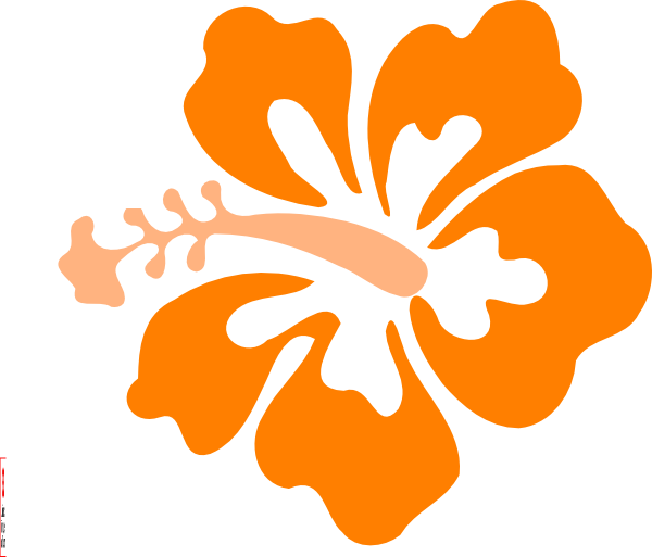 Coral Hibiscus Clip Art At Clker - Hibiscus Clip Art (600x513)
