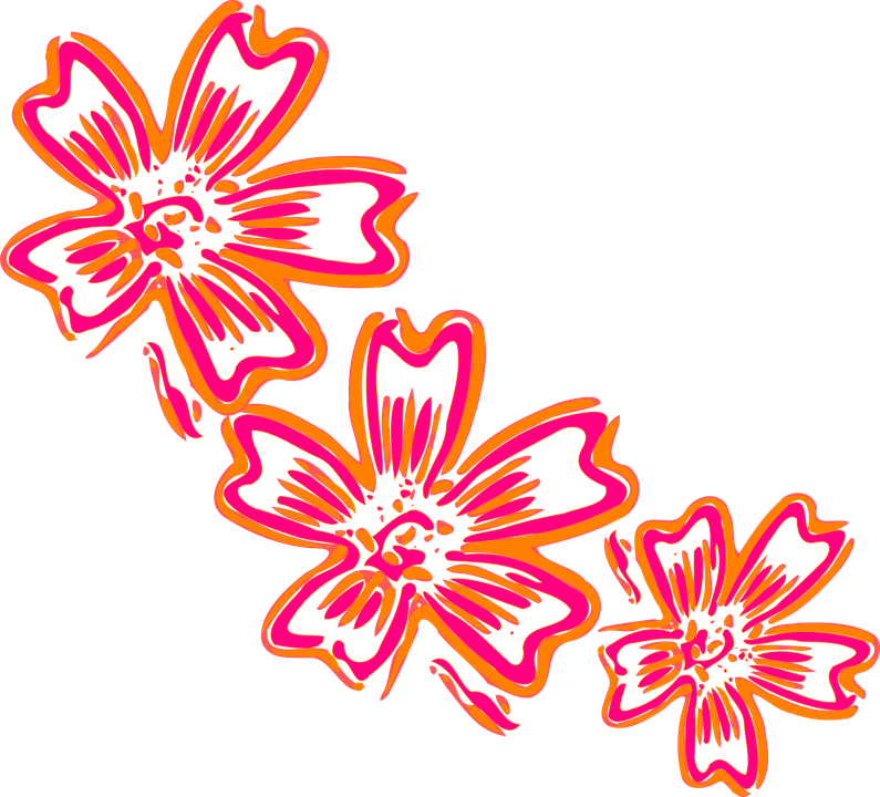 Orange Hibiscus Cliparts 8, - Cluster Of Flowers Cartoon (795x720)