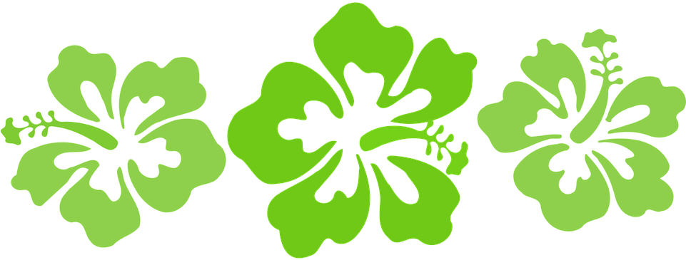 Orange Hibiscus Cliparts 13, - Significa Ohana En Español (960x480)