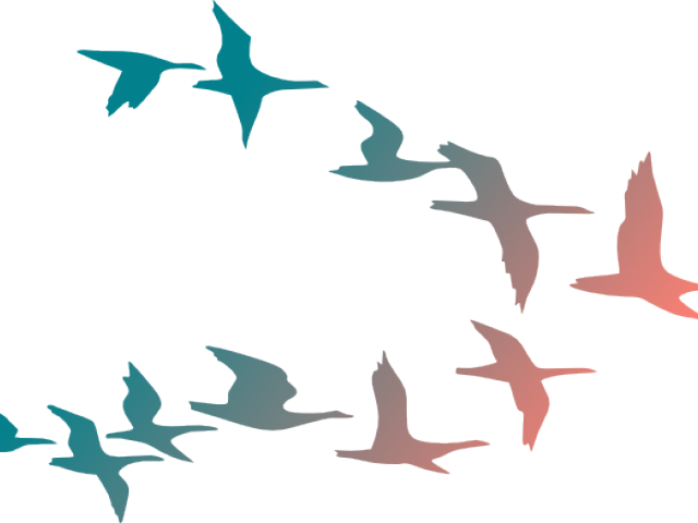 Flying Birds Clipart - Wall Decor Plus More Wdpm3841 Wall Decal Stickers Life (640x480)