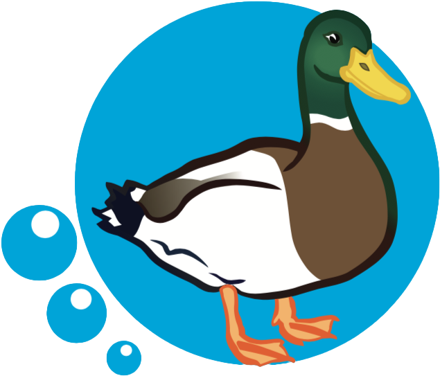 Mallard - Mallard (648x573)