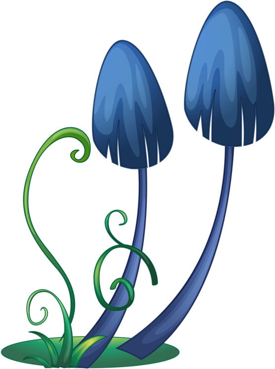 Amanita Muscaria Mushroom Fungus Clip Art - Amanita Muscaria Mushroom Fungus Clip Art (756x1024)