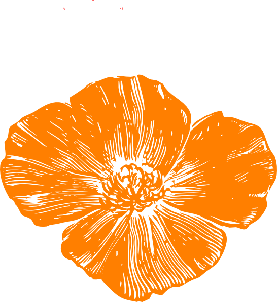 Orange Poppy Clip Art At Clker - Golden Poppy Clipart (546x597)