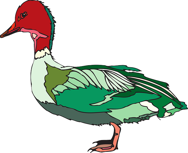Green, Bird, Duck, Wings, Animal, Feathers, And - Green And Red Duck (640x521)