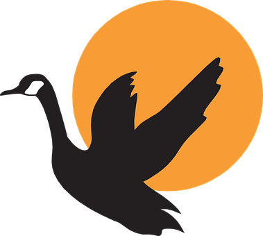 Silhouette Bird Flying Sunset Background W - Goose Vector (379x340)