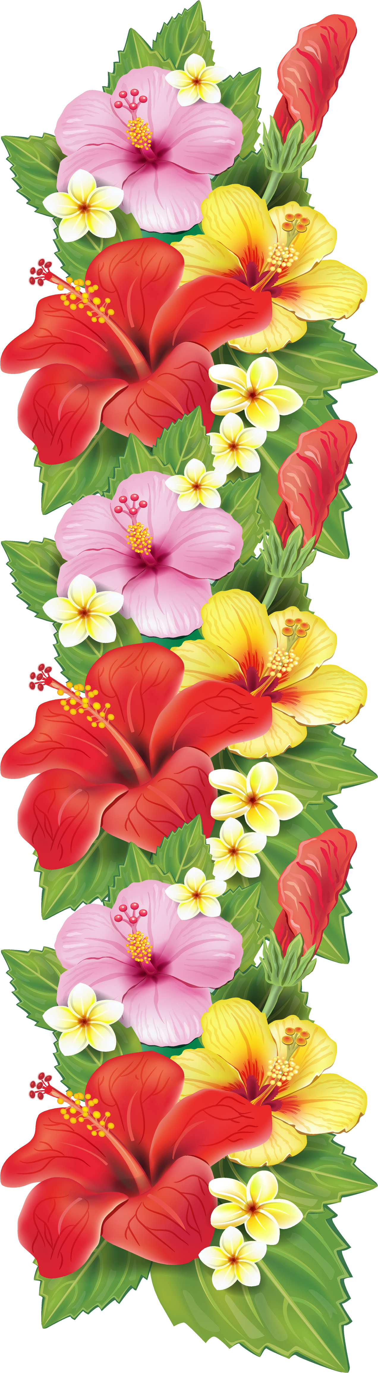 Decoration Clipart Flower - Tropical Flowers Border Png (1494x4872)