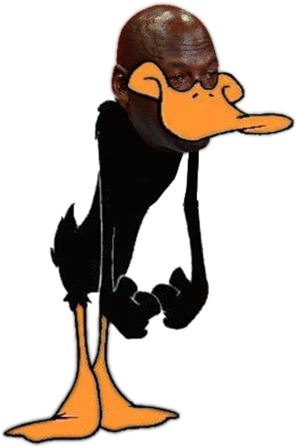 Michael Jordan Daffy Duck (600x934)