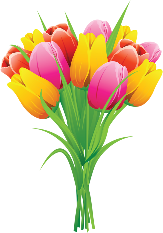Crocus Clipart Flower Gif - Clipart Tulips (568x800)