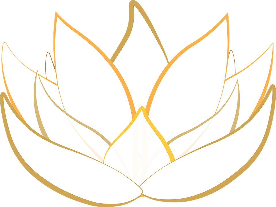 Lotus Flower Outline 24, Buy Clip Art - Lotus Transparent (960x720)