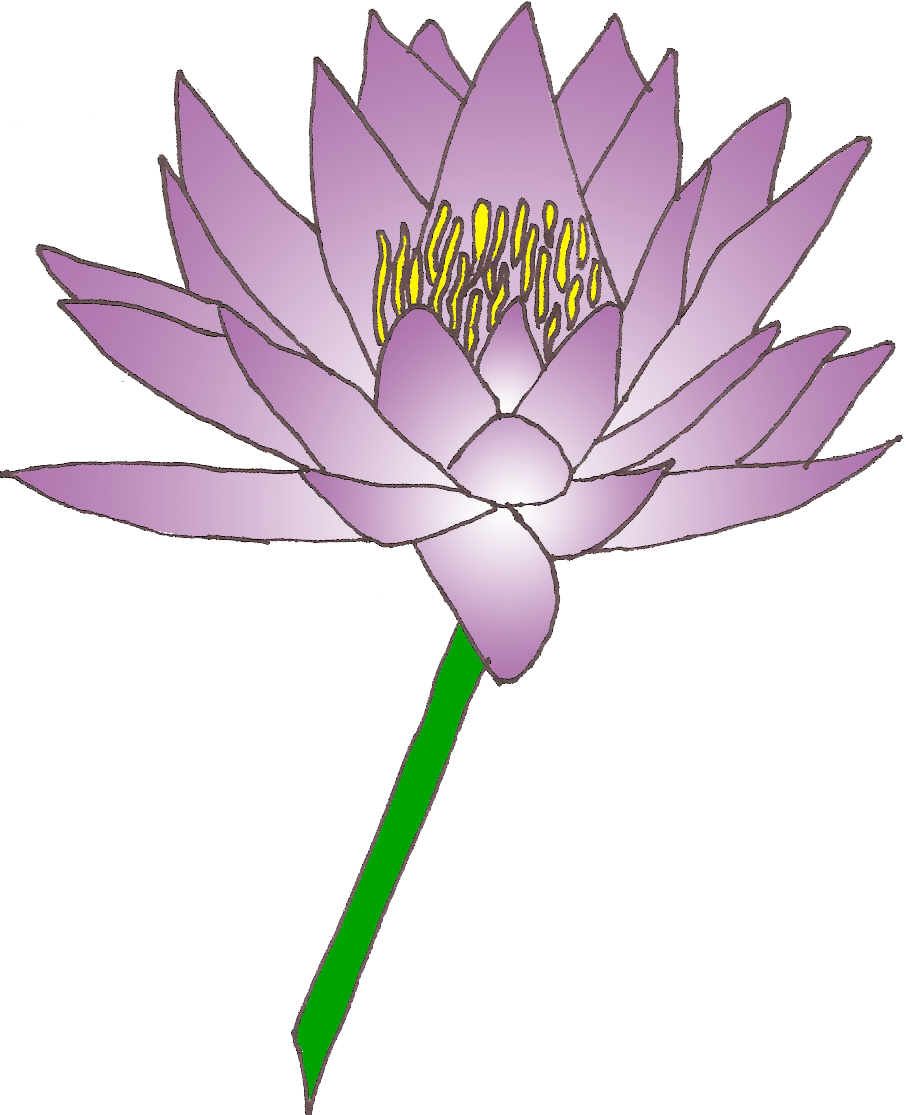 Lily Free Flower Clipart Image - Clip Art Lily Flower (906x1115)