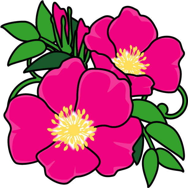 Miyoko Yoshimoto (640x640)