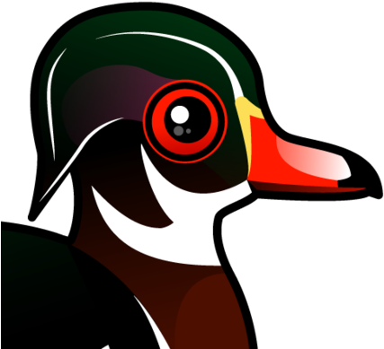 About The Wood Duck - Wood Duck Cartoon (440x440)