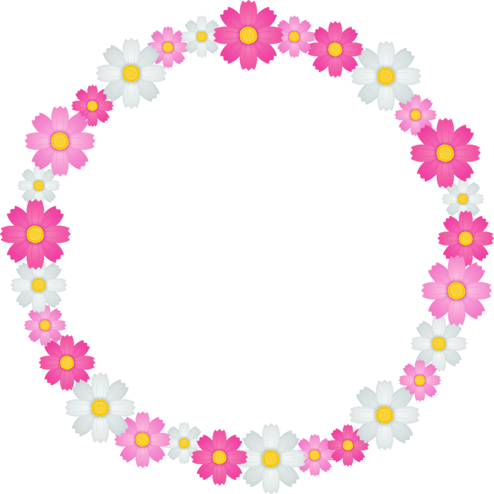 コスモスの花のリース風フレーム枠イラスト＜小＞ - Japanese Morning Glory (700x700)
