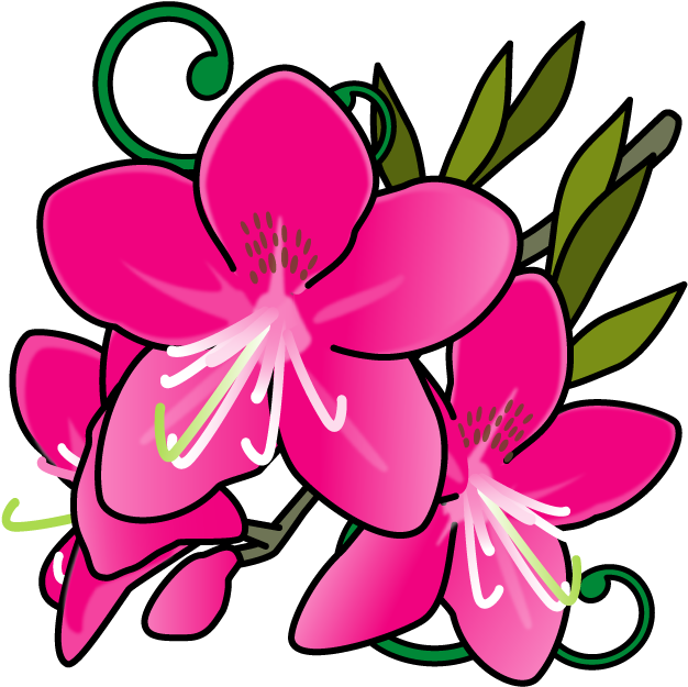 栃木県の花・・・ヤシオツツジ - 宮城 県 花 イラスト (640x640)